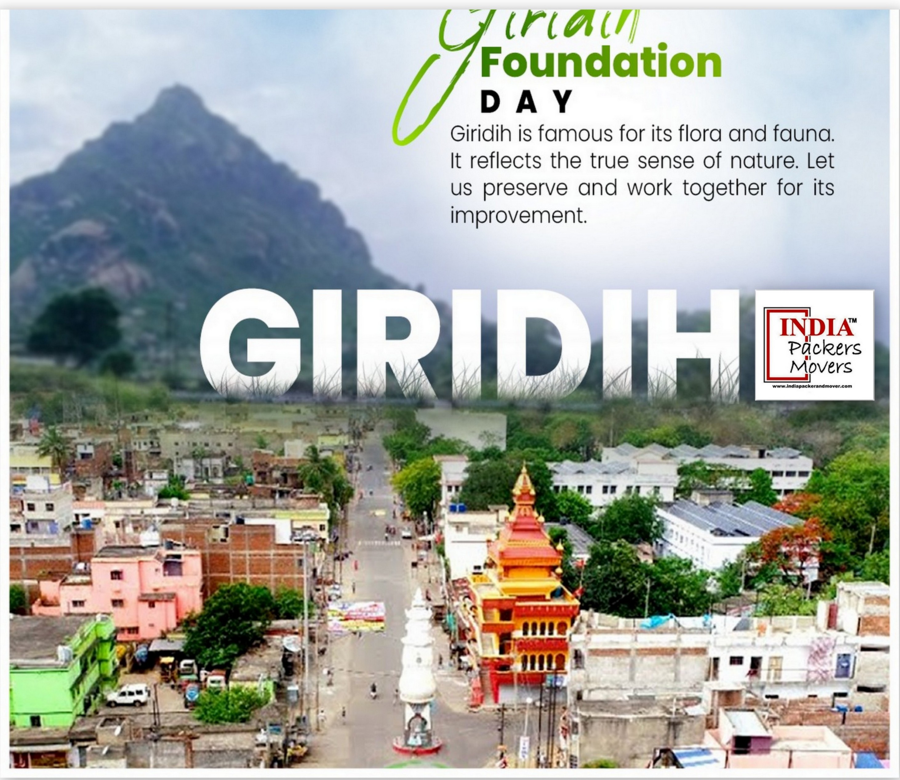 Packers And Movers in giridih 